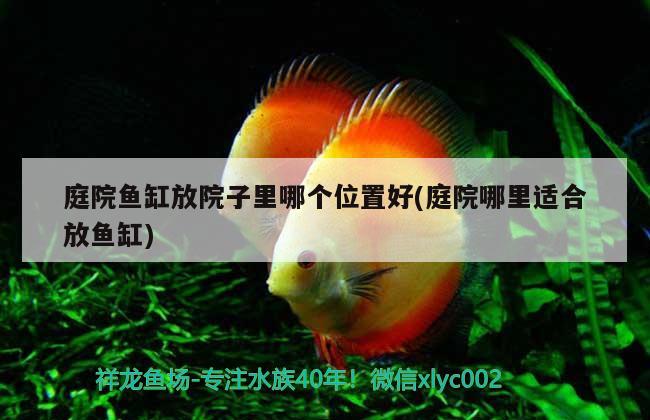 庭院魚(yú)缸放院子里哪個(gè)位置好(庭院哪里適合放魚(yú)缸)