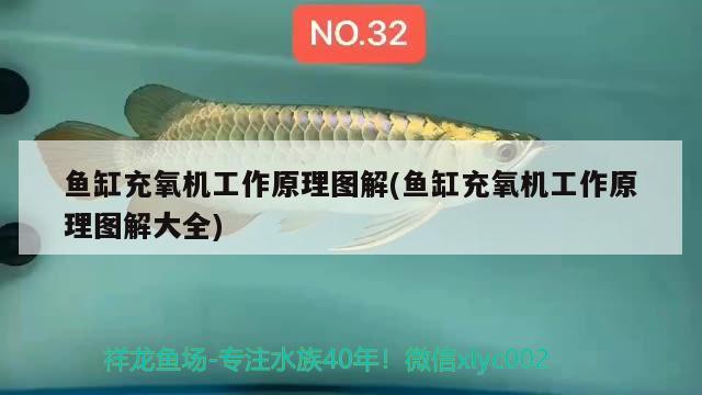 魚缸充氧機(jī)工作原理圖解(魚缸充氧機(jī)工作原理圖解大全) 申古三間魚