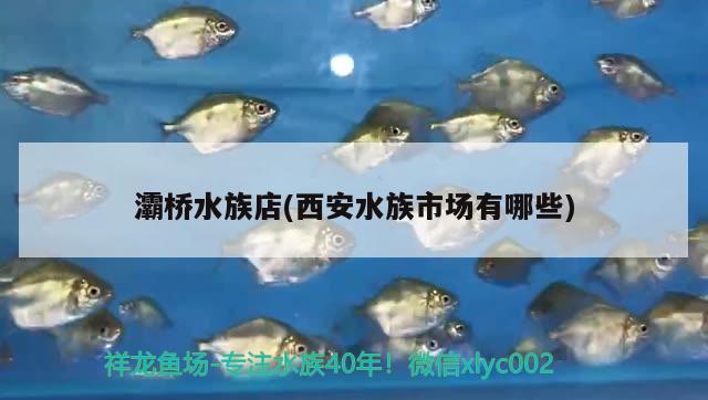 灞橋水族店(西安水族市場(chǎng)有哪些) 水族品牌