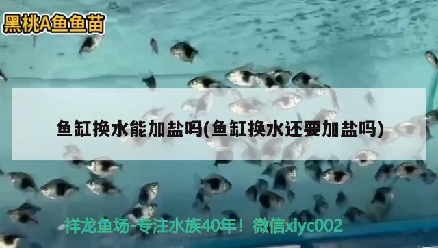 魚缸換水能加鹽嗎(魚缸換水還要加鹽嗎) 水族雜談