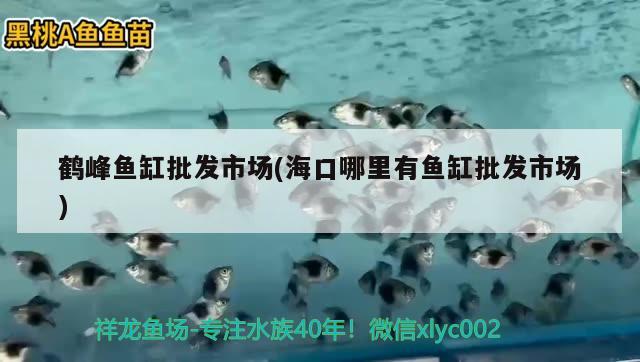 鶴峰魚缸批發(fā)市場(?？谀睦镉恤~缸批發(fā)市場) 水族世界