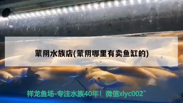 蒙陰水族店(蒙陰哪里有賣魚(yú)缸的)