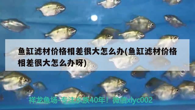 魚缸濾材價(jià)格相差很大怎么辦(魚缸濾材價(jià)格相差很大怎么辦呀)