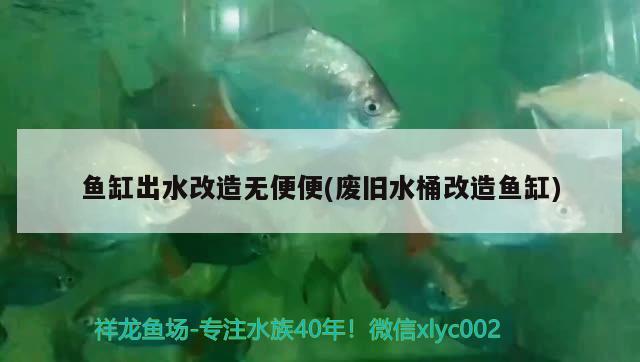 魚缸出水改造無便便(廢舊水桶改造魚缸) 廣州觀賞魚魚苗批發(fā)市場