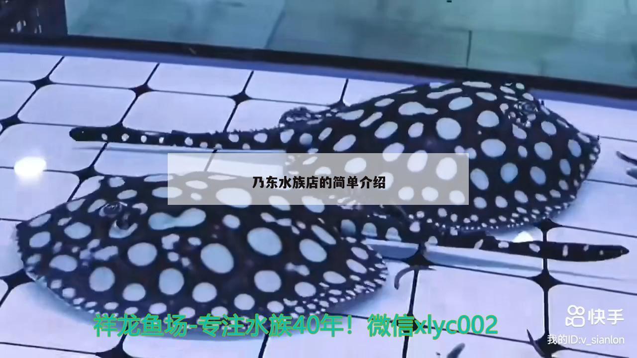 乃東水族店的簡(jiǎn)單介紹 黃金眼鏡蛇雷龍魚