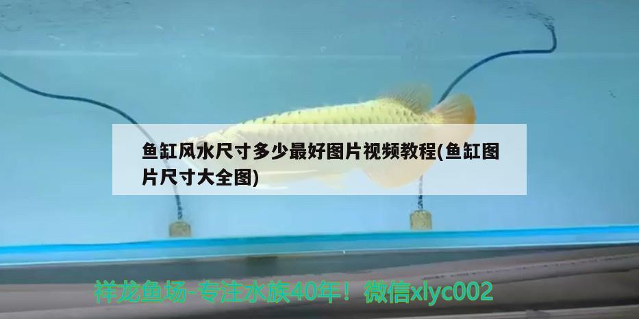 魚缸風(fēng)水尺寸多少最好圖片視頻教程(魚缸圖片尺寸大全圖) 魚缸風(fēng)水