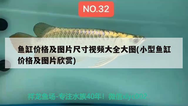 魚缸價格及圖片尺寸視頻大全大圖(小型魚缸價格及圖片欣賞) 杰西卡恐龍魚