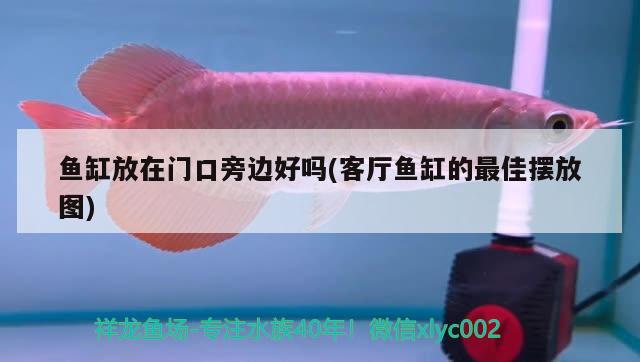 魚缸放在門口旁邊好嗎(客廳魚缸的最佳擺放圖) 帝王三間魚