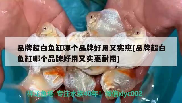 品牌超白魚缸哪個(gè)品牌好用又實(shí)惠(品牌超白魚缸哪個(gè)品牌好用又實(shí)惠耐用) 噴點(diǎn)菠蘿魚