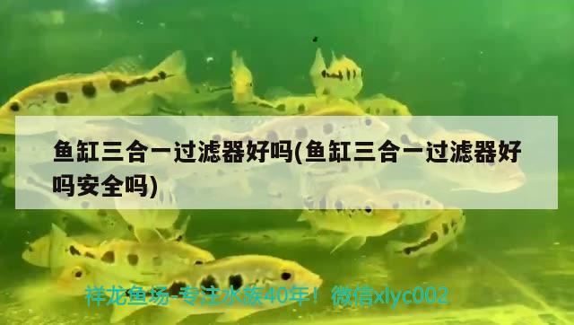 魚缸三合一過濾器好嗎(魚缸三合一過濾器好嗎安全嗎) 祥龍水族護(hù)理水