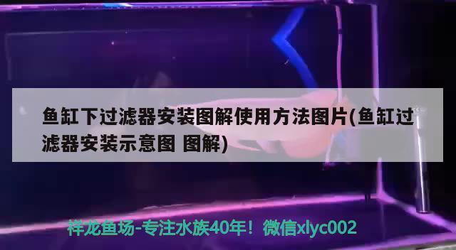 魚缸下過濾器安裝圖解使用方法圖片(魚缸過濾器安裝示意圖圖解) 祥龍龍魚魚糧