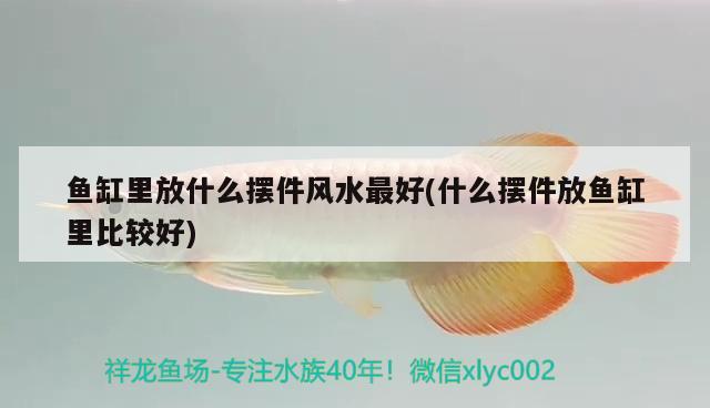 魚缸里放什么擺件風水最好(什么擺件放魚缸里比較好) 魚缸風水