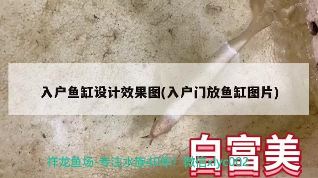 入戶魚缸設(shè)計(jì)效果圖(入戶門放魚缸圖片) 廣州龍魚批發(fā)市場(chǎng)