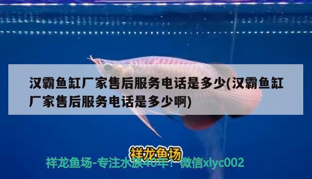 漢霸魚缸廠家售后服務(wù)電話是多少(漢霸魚缸廠家售后服務(wù)電話是多少啊)