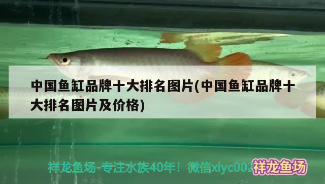 中國(guó)魚(yú)缸品牌十大排名圖片(中國(guó)魚(yú)缸品牌十大排名圖片及價(jià)格) 魚(yú)缸百科