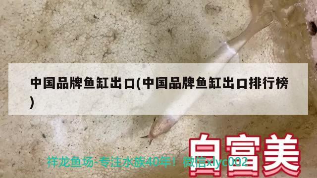 中國(guó)品牌魚缸出口(中國(guó)品牌魚缸出口排行榜)