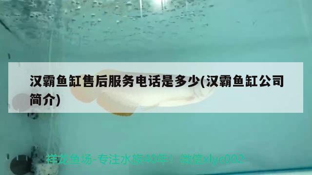 漢霸魚缸售后服務(wù)電話是多少(漢霸魚缸公司簡(jiǎn)介)