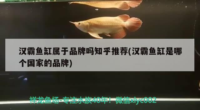 漢霸魚缸屬于品牌嗎知乎推薦(漢霸魚缸是哪個(gè)國(guó)家的品牌)