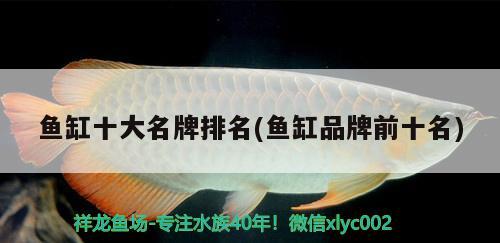 魚缸十大名牌排名(魚缸品牌前十名) 魚缸百科