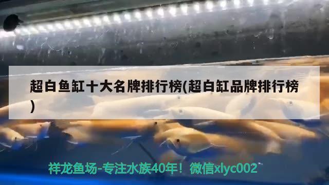 超白魚缸十大名牌排行榜(超白缸品牌排行榜)