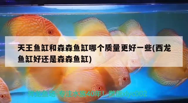 天王魚缸和森森魚缸哪個質(zhì)量更好一些(西龍魚缸好還是森森魚缸)