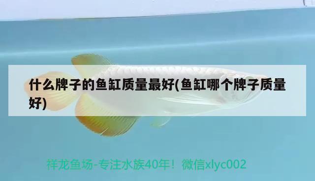 什么牌子的魚(yú)缸質(zhì)量最好(魚(yú)缸哪個(gè)牌子質(zhì)量好)