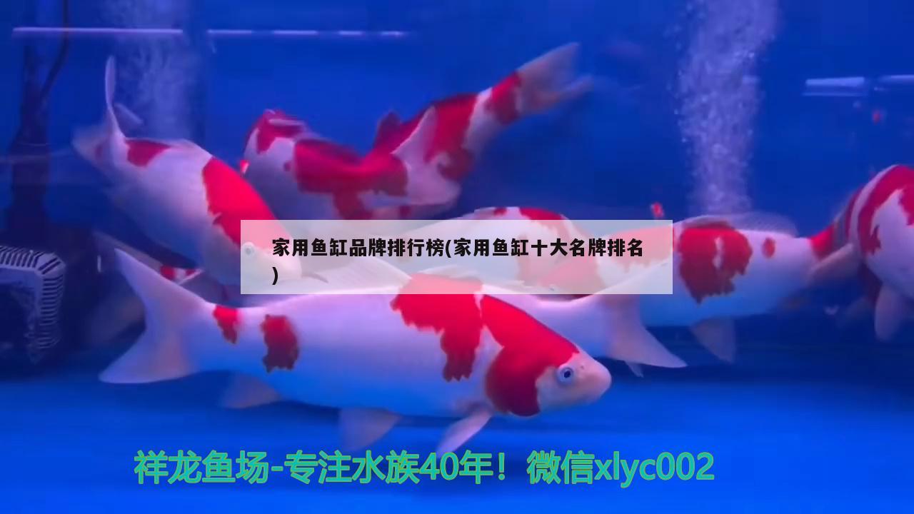 家用魚缸品牌排行榜(家用魚缸十大名牌排名) 魚缸百科