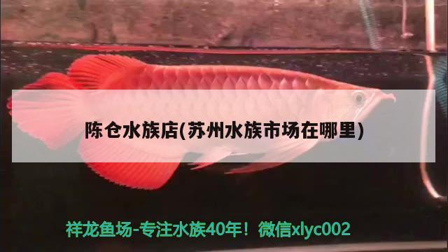 陳倉水族店(蘇州水族市場在哪里)