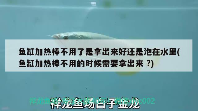 魚缸加熱棒不用了是拿出來好還是泡在水里(魚缸加熱棒不用的時(shí)候需要拿出來?) 狗頭魚