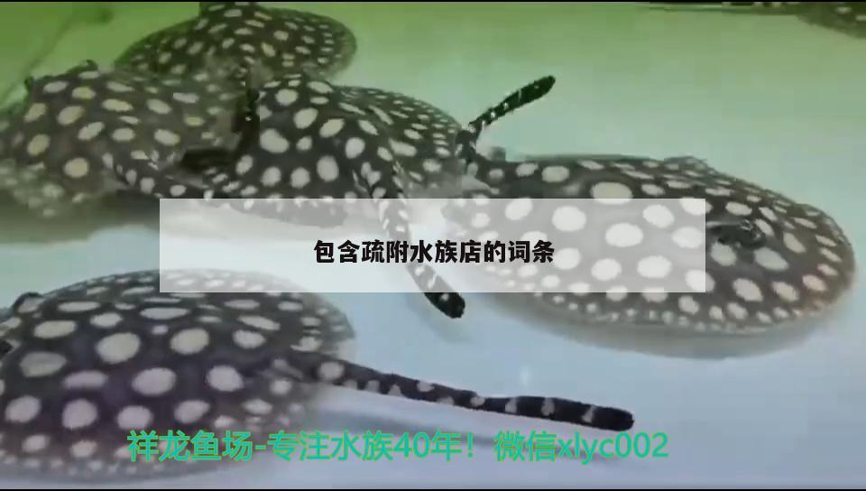 包含疏附水族店的詞條 觀賞龜/鱉飼料