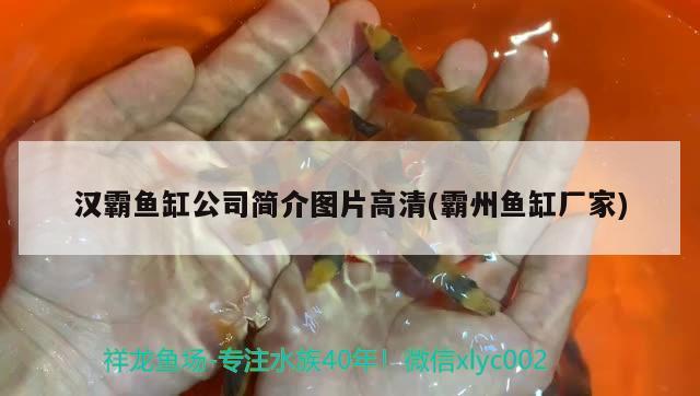 漢霸魚缸公司簡介圖片高清(霸州魚缸廠家)