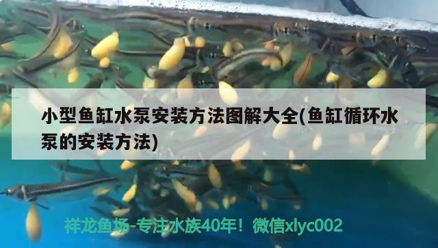 小型魚缸水泵安裝方法圖解大全(魚缸循環(huán)水泵的安裝方法) 魚缸水泵