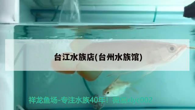 臺江水族店(臺州水族館) 黑桃A魚苗