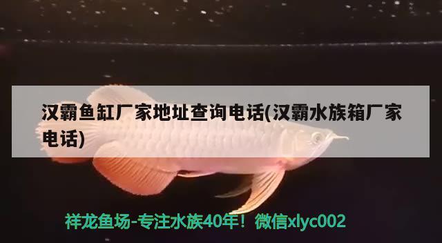 漢霸魚缸廠家地址查詢電話(漢霸水族箱廠家電話)