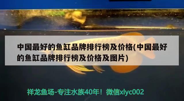 中國(guó)最好的魚(yú)缸品牌排行榜及價(jià)格(中國(guó)最好的魚(yú)缸品牌排行榜及價(jià)格及圖片)