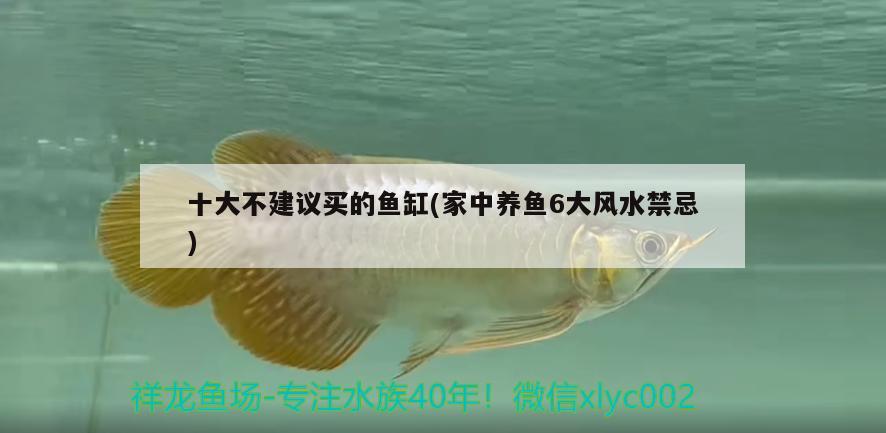 十大不建議買的魚缸(家中養(yǎng)魚6大風(fēng)水禁忌) 魚缸風(fēng)水