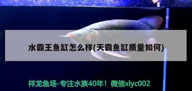 水霸王魚缸怎么樣(天霸魚缸質(zhì)量如何)