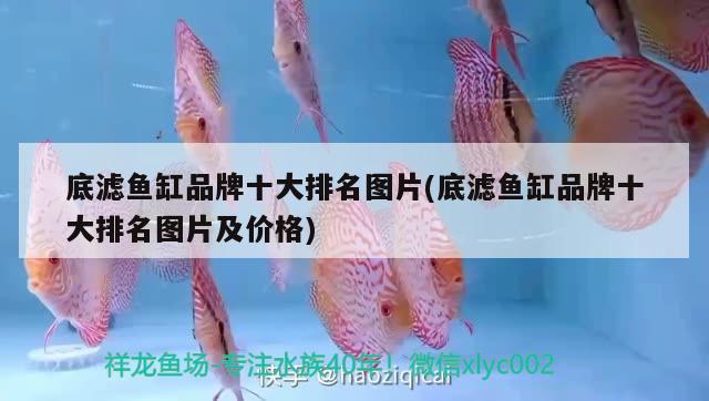 底濾魚缸品牌十大排名圖片(底濾魚缸品牌十大排名圖片及價格) 魚缸百科