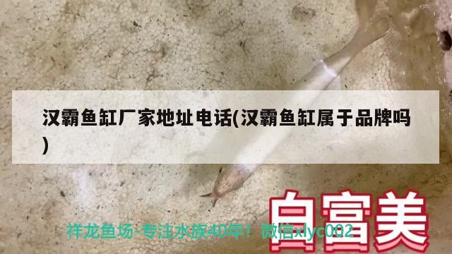 漢霸魚缸廠家地址電話(漢霸魚缸屬于品牌嗎)