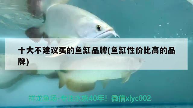 十大不建議買的魚(yú)缸品牌(魚(yú)缸性價(jià)比高的品牌)