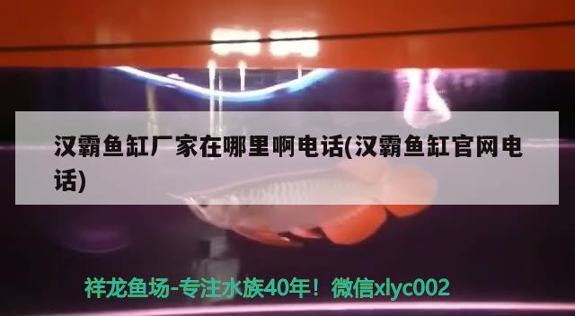 漢霸魚缸廠家在哪里啊電話(漢霸魚缸官網(wǎng)電話) 魚缸百科