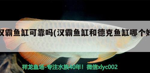 漢霸魚(yú)缸可靠嗎(漢霸魚(yú)缸和德克魚(yú)缸哪個(gè)好) 魚(yú)缸百科