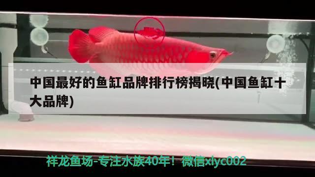 中國最好的魚缸品牌排行榜揭曉(中國魚缸十大品牌)