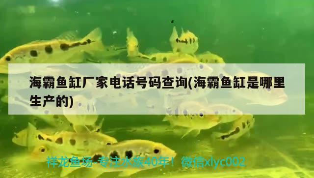 海霸魚缸廠家電話號碼查詢(海霸魚缸是哪里生產(chǎn)的) 魚缸百科