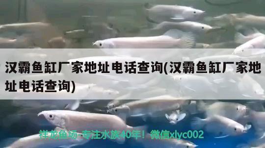 漢霸魚缸廠家地址電話查詢(漢霸魚缸廠家地址電話查詢)