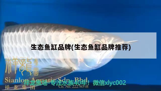 生態(tài)魚缸品牌(生態(tài)魚缸品牌推薦)