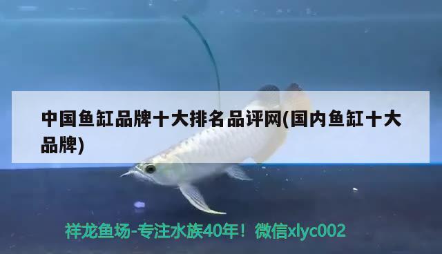 中國魚缸品牌十大排名品評網(wǎng)(國內(nèi)魚缸十大品牌) 魚缸百科