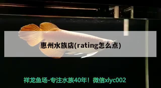 惠州水族店(rating怎么點(diǎn)) 觀賞魚進(jìn)出口