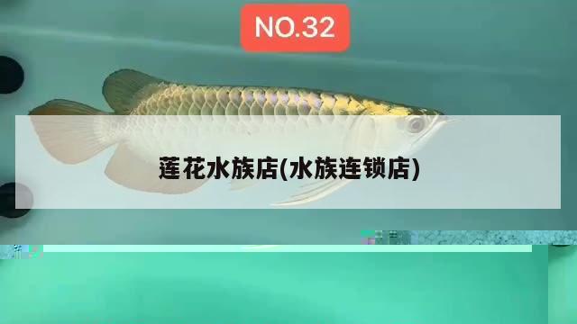 森森魚缸子品牌(森森旗下的魚缸品牌)