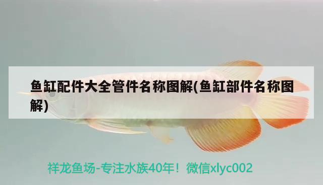 魚缸配件大全管件名稱圖解(魚缸部件名稱圖解)